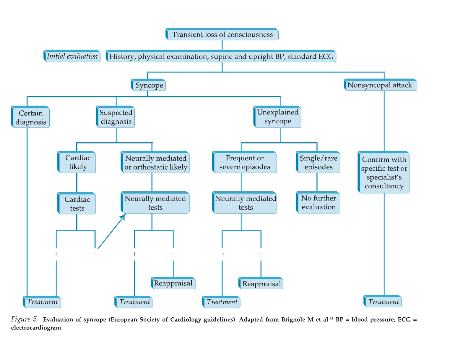syncope workup